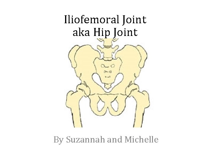 Iliofemoral Joint aka Hip Joint By Suzannah and Michelle 