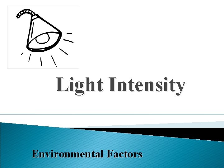 Light Intensity Environmental Factors 