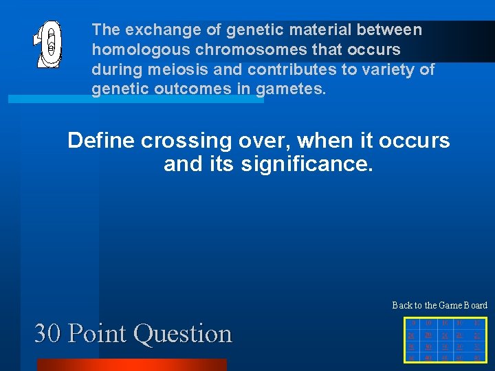 The exchange of genetic material between homologous chromosomes that occurs during meiosis and contributes