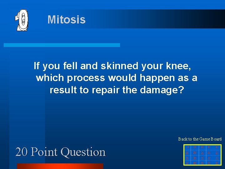 Mitosis If you fell and skinned your knee, which process would happen as a