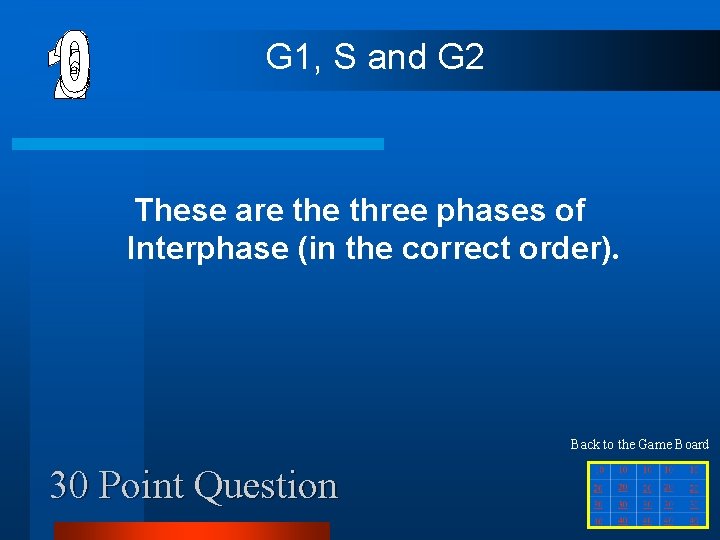 G 1, S and G 2 These are three phases of Interphase (in the