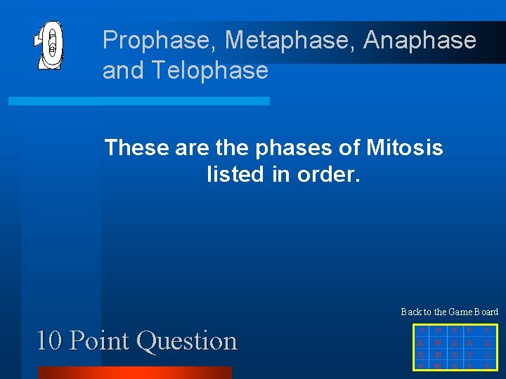 Prophase, Metaphase, Anaphase and Telophase These are the phases of Mitosis listed in order.