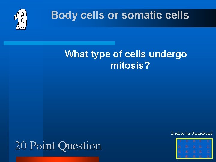 Body cells or somatic cells What type of cells undergo mitosis? Back to the