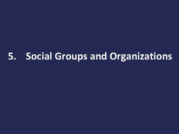 5. Social Groups and Organizations 