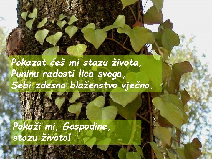 Pokazat ćeš mi stazu života, Puninu radosti lica svoga, Sebi zdesna blaženstvo vječno. Pokaži