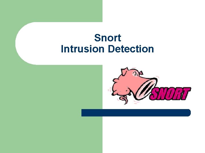 Snort Intrusion Detection 