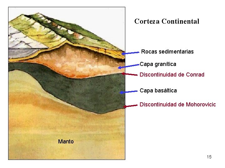 Corteza Continental Rocas sedimentarias Capa granítica Discontinuidad de Conrad Capa basáltica Discontinuidad de Mohorovicic