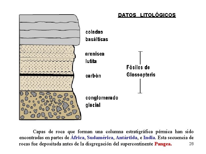 DATOS LITOLÓGICOS Capas de roca que forman una columna estratigráfica pérmica han sido encontradas