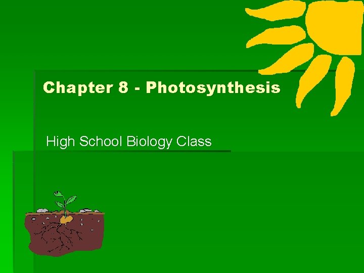 Chapter 8 Photosynthesis High School Biology Class Overview