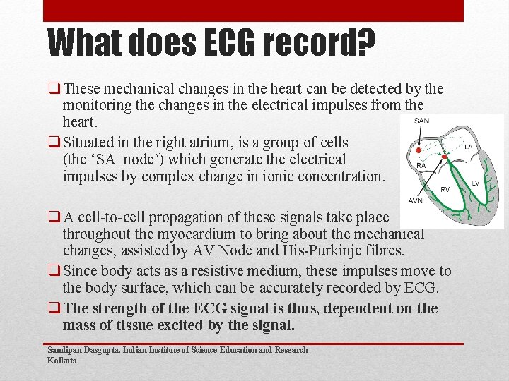 What does ECG record? q These mechanical changes in the heart can be detected