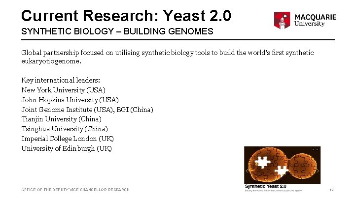 Current Research: Yeast 2. 0 SYNTHETIC BIOLOGY – BUILDING GENOMES Global partnership focused on