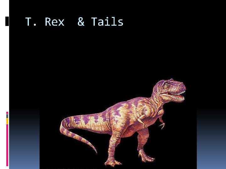 T. Rex & Tails T. Rex & Tails