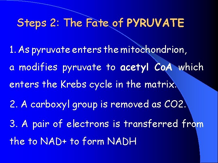 Steps 2: The Fate of PYRUVATE 1. As pyruvate enters the mitochondrion, a modifies