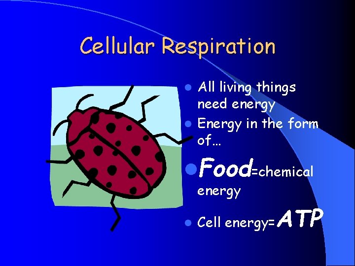 Cellular Respiration All living things need energy l Energy in the form of… l