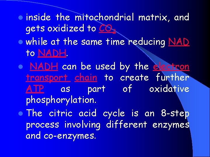 l inside the mitochondrial matrix, and gets oxidized to CO 2 l while at