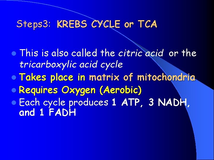 Steps 3: KREBS CYCLE or TCA l This is also called the citric acid