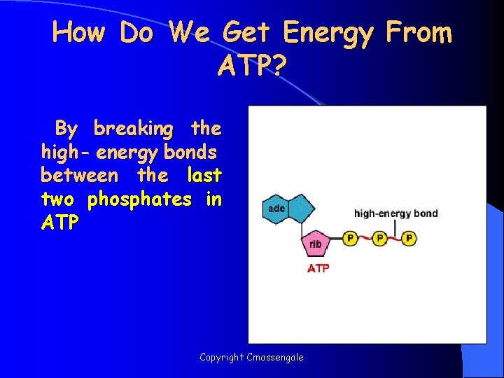 How Do We Get Energy From ATP? By breaking the high- energy bonds between