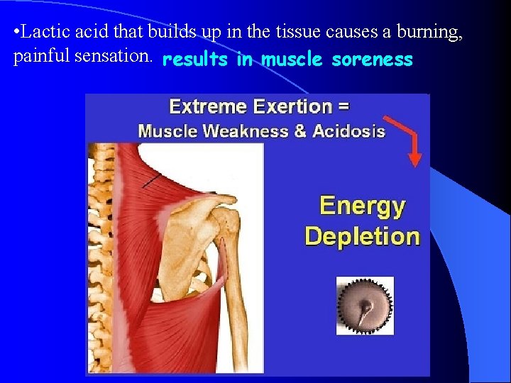  • Lactic acid that builds up in the tissue causes a burning, painful