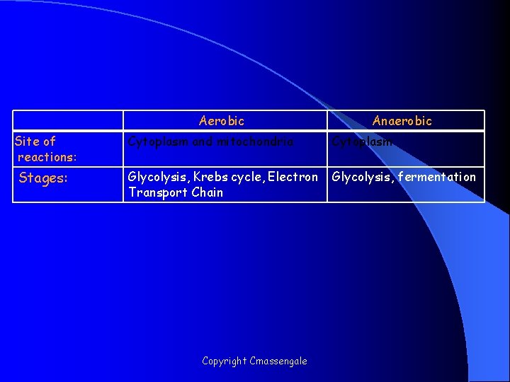 Aerobic Anaerobic Site of reactions: Cytoplasm and mitochondria Cytoplasm Stages: Glycolysis, Krebs cycle, Electron