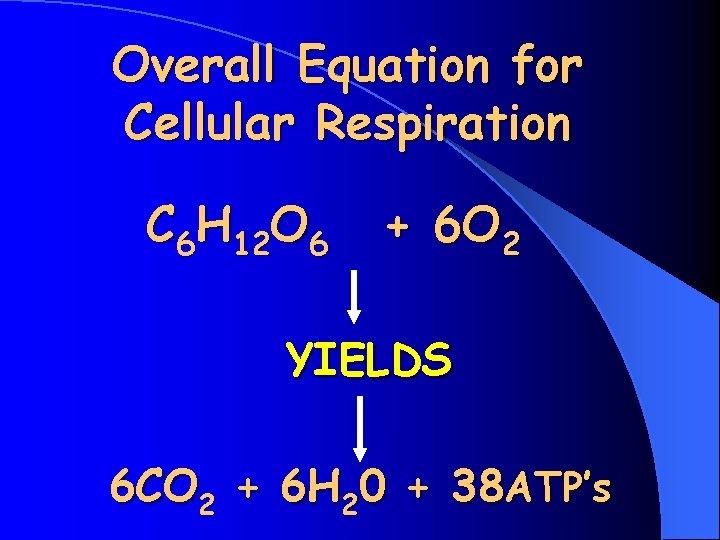 Overall Equation for Cellular Respiration C 6 H 12 O 6 + 6 O