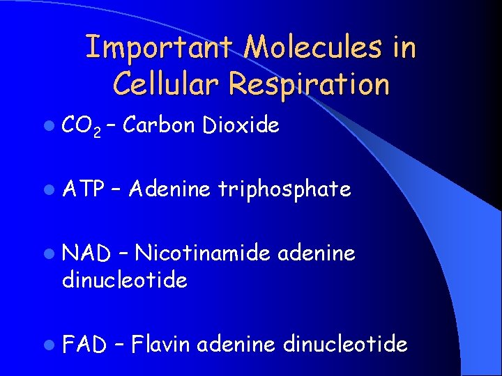 Important Molecules in Cellular Respiration l CO 2 – l ATP Carbon Dioxide –