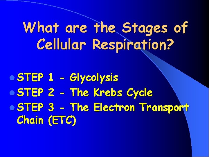 What are the Stages of Cellular Respiration? l STEP 1 - Glycolysis l STEP