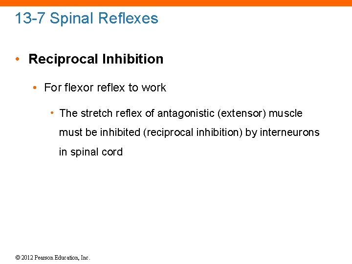 13 -7 Spinal Reflexes • Reciprocal Inhibition • For flexor reflex to work •