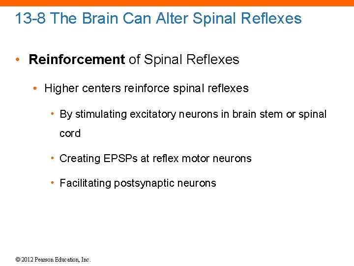 13 -8 The Brain Can Alter Spinal Reflexes • Reinforcement of Spinal Reflexes •