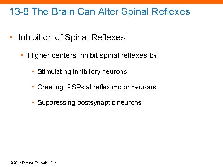 13 -8 The Brain Can Alter Spinal Reflexes • Inhibition of Spinal Reflexes • 13 -8 The Brain Can Alter Spinal Reflexes • Inhibition of Spinal Reflexes •