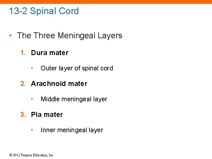 13 -2 Spinal Cord • The Three Meningeal Layers 1. Dura mater • Outer