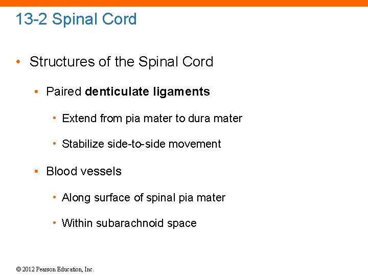 13 -2 Spinal Cord • Structures of the Spinal Cord • Paired denticulate ligaments