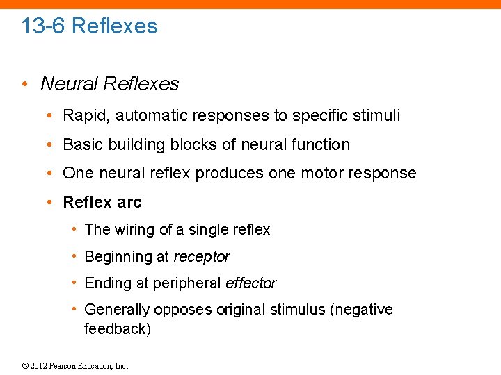 13 -6 Reflexes • Neural Reflexes • Rapid, automatic responses to specific stimuli •