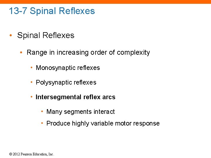 13 -7 Spinal Reflexes • Range in increasing order of complexity • Monosynaptic reflexes