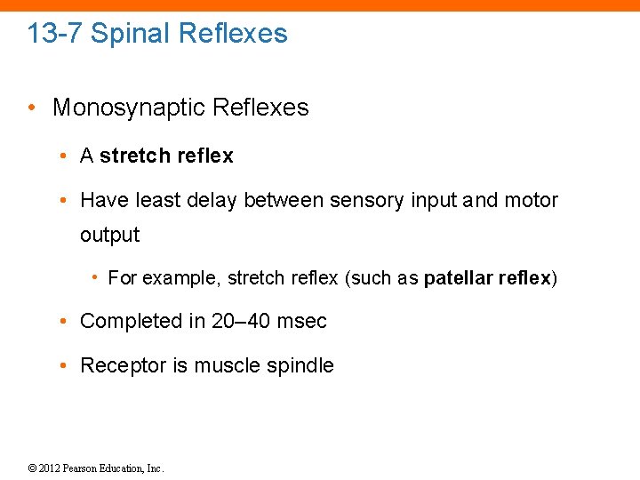 13 -7 Spinal Reflexes • Monosynaptic Reflexes • A stretch reflex • Have least