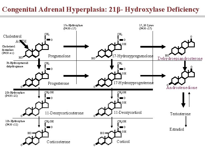 Congenital Adrenal Hyperplasia: 21β- Hydroxylase Deficiency 17 a-Hydroxylase (P 450 c 17) 17, 20