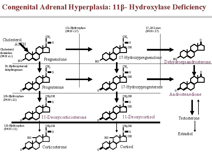 Congenital Adrenal Hyperplasia: 11β- Hydroxylase Deficiency 17 a-Hydroxylase (P 450 c 17) 17, 20