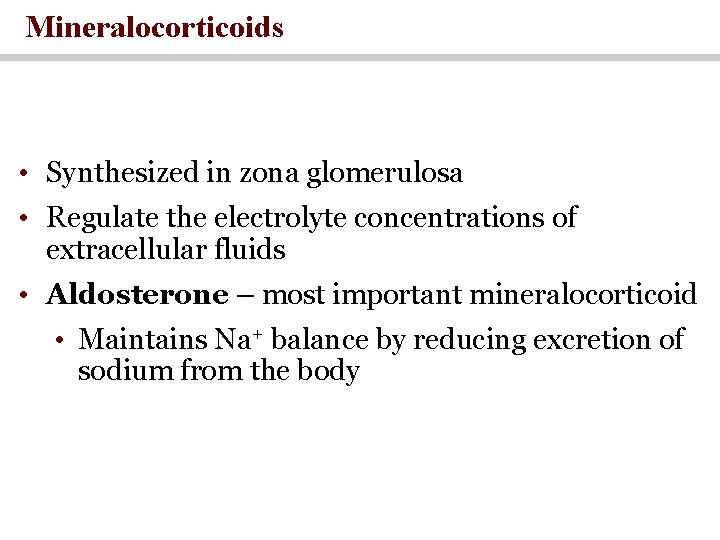 Mineralocorticoids • Synthesized in zona glomerulosa • Regulate the electrolyte concentrations of extracellular fluids