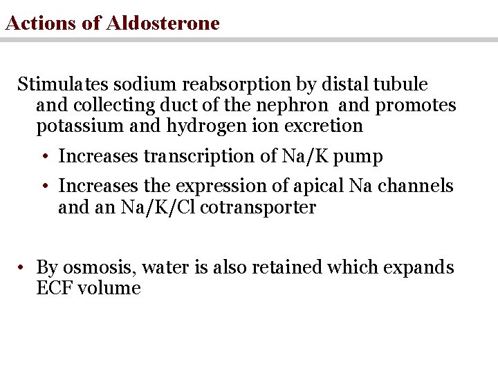 Actions of Aldosterone Stimulates sodium reabsorption by distal tubule and collecting duct of the