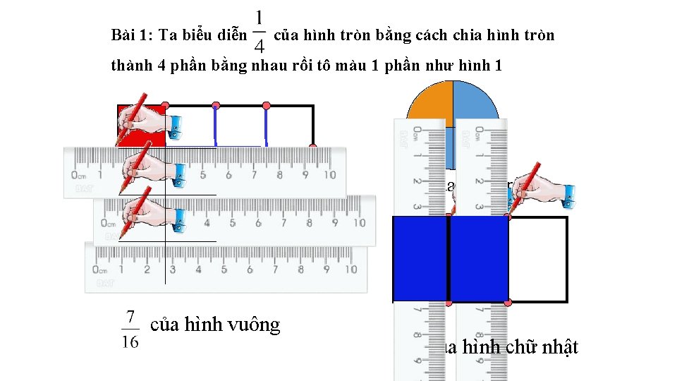 Bài 1: Ta biểu diễn của hình tròn bằng cách chia hình tròn thành