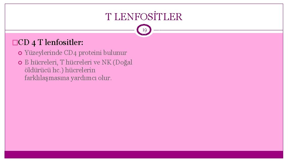 T LENFOSİTLER 19 �CD 4 T lenfositler: Yüzeylerinde CD 4 proteini bulunur B hücreleri,