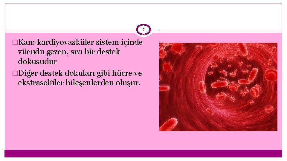 2 �Kan: kardiyovasküler sistem içinde vücudu gezen, sıvı bir destek dokusudur �Diğer destek dokuları