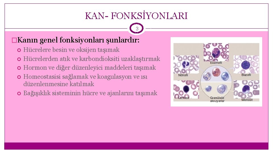 KAN- FONKSİYONLARI 3 �Kanın genel fonksiyonları şunlardır: Hücrelere besin ve oksijen taşımak Hücrelerden atık