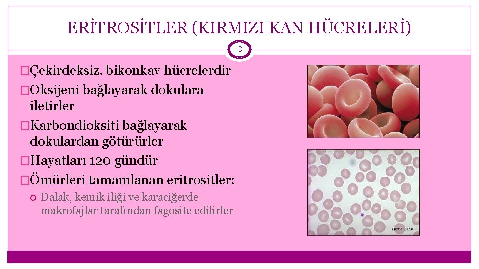 ERİTROSİTLER (KIRMIZI KAN HÜCRELERİ) 8 �Çekirdeksiz, bikonkav hücrelerdir �Oksijeni bağlayarak dokulara iletirler �Karbondioksiti bağlayarak