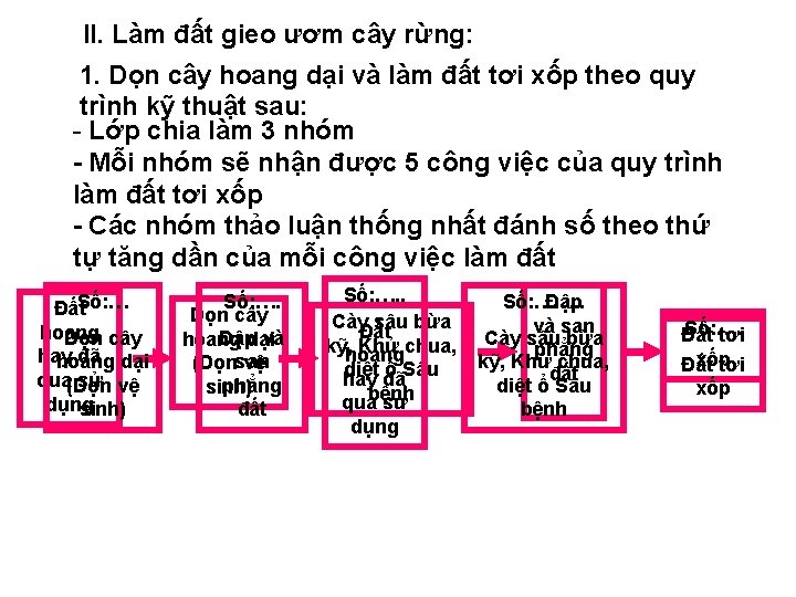 II. Làm đất gieo ươm cây rừng: 1. Dọn cây hoang dại và làm