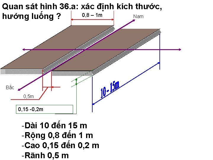 Quan sát hình 36. a: xác định kích thước, 0, 8 – 1 m