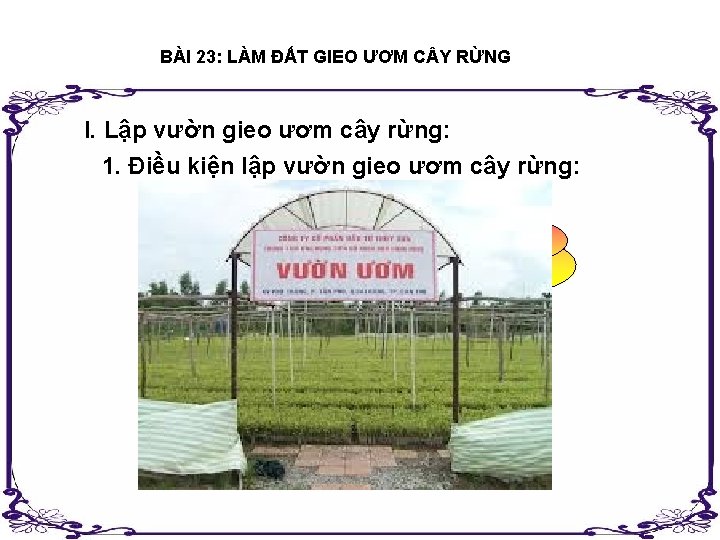 BÀI 23: LÀM ĐẤT GIEO ƯƠM C Y RỪNG I. Lập vườn gieo ươm