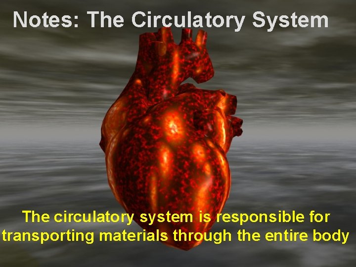 Notes: The Circulatory System The circulatory system is responsible for transporting materials through the