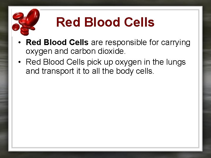 Red Blood Cells • Red Blood Cells are responsible for carrying oxygen and carbon