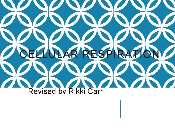 CELLULAR RESPIRATION Revised by Rikki Carr 