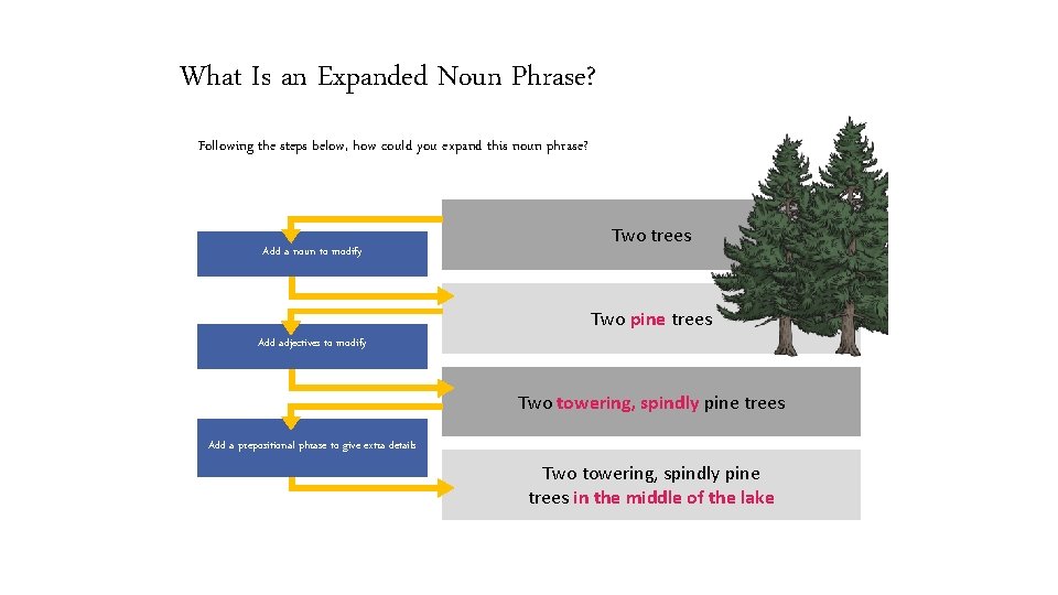 What Is an Expanded Noun Phrase? Following the steps below, how could you expand